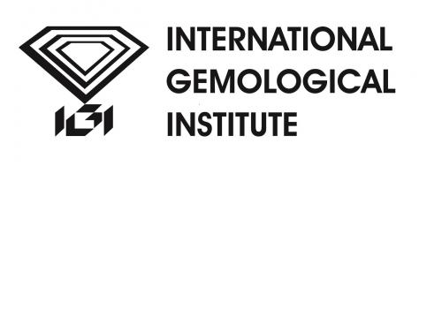 igi logo